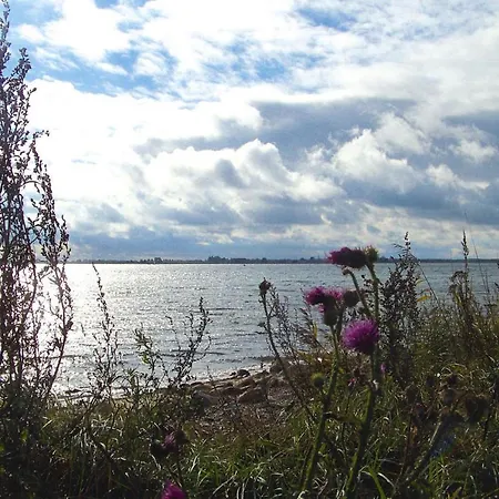 Holiday Petersdorf Fehmarn-petersdorf - Dos02001-dyd Petersdorf auf Fehmarn
